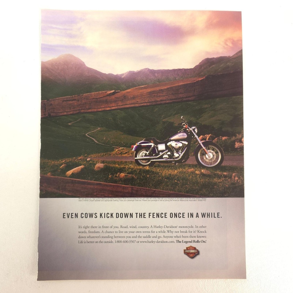 Vintage Harley-Davidson Motorcycle Print Ad 2000 Y2K Bike Show Display Collector